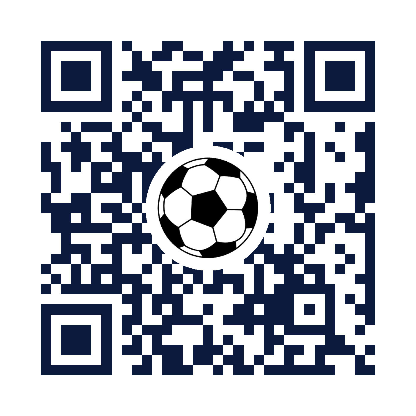 Point your phone camera at the code